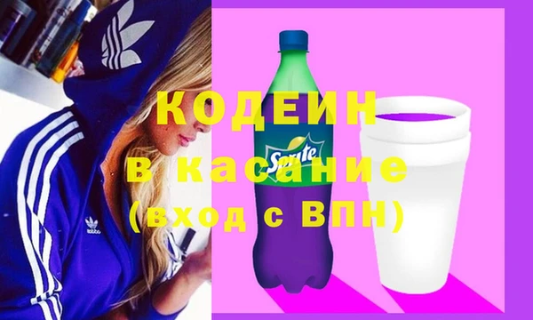 прущие грибы Балахна
