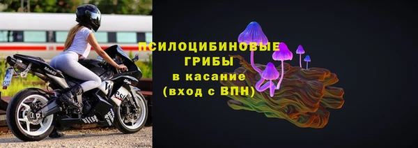 прущие грибы Балахна