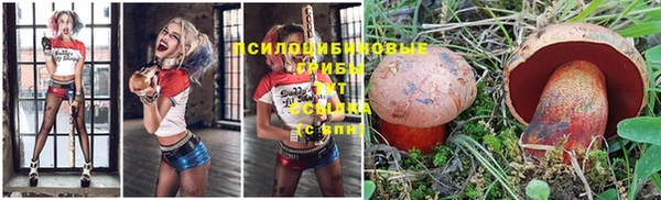 марки nbome Баксан