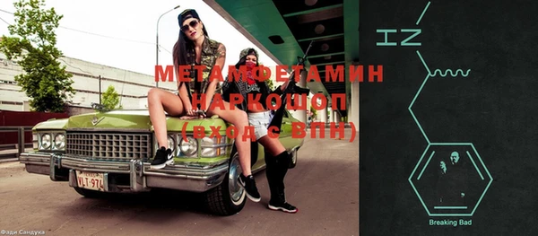 прущие грибы Балахна