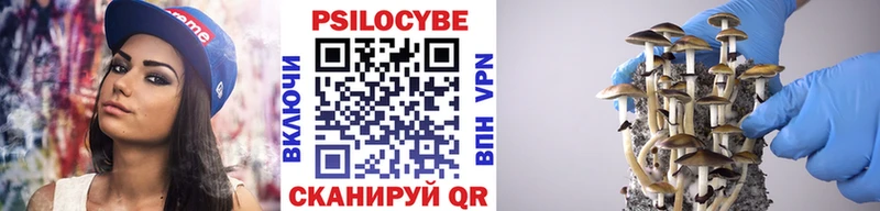 Галлюциногенные грибы мицелий  купить наркоту  Соль-Илецк 